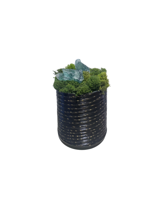 Green Moss in Wire Conatiner - Black