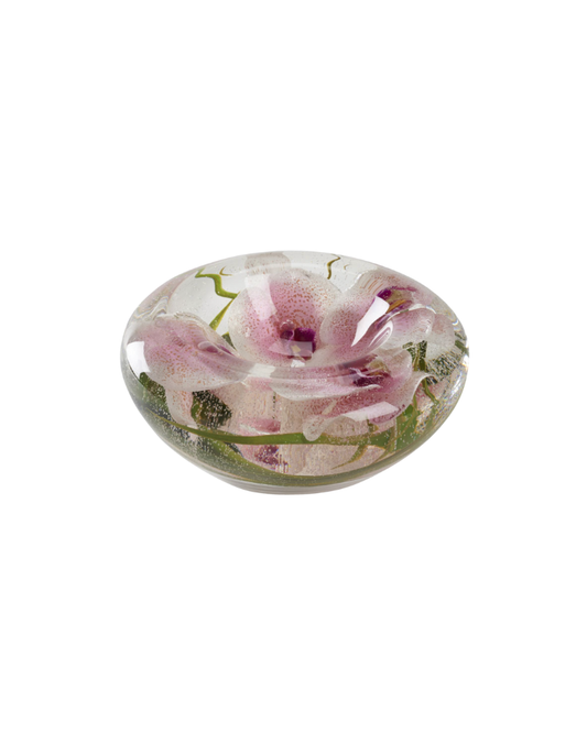 Phael Orchids in Medium Puddle Vase - Pink