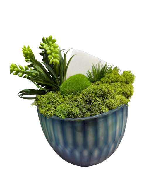 Blue Bowl Succulent Floral